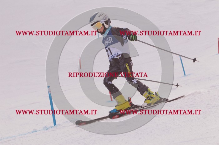 MAT_3673.JPG