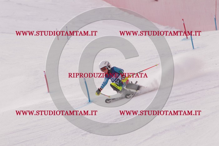 MAT_3679.JPG