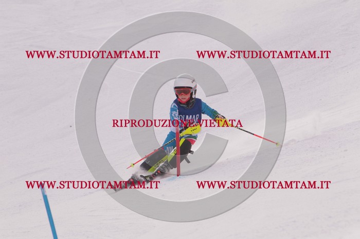 MAT_3682.JPG