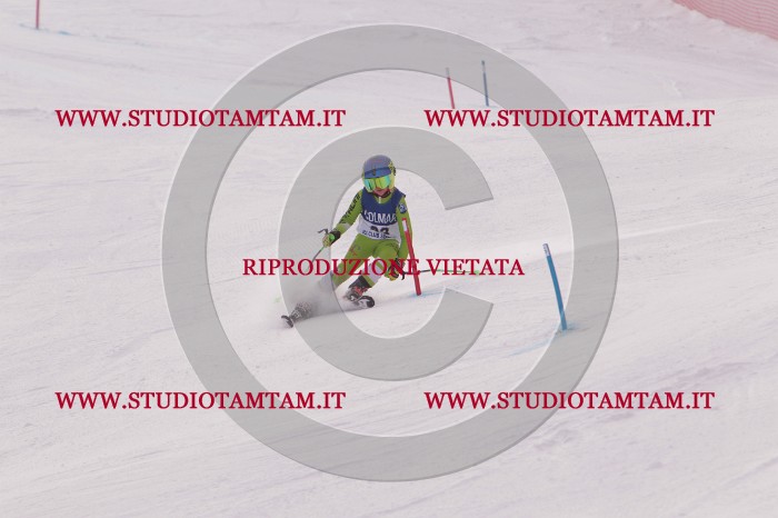 MAT_3688.JPG