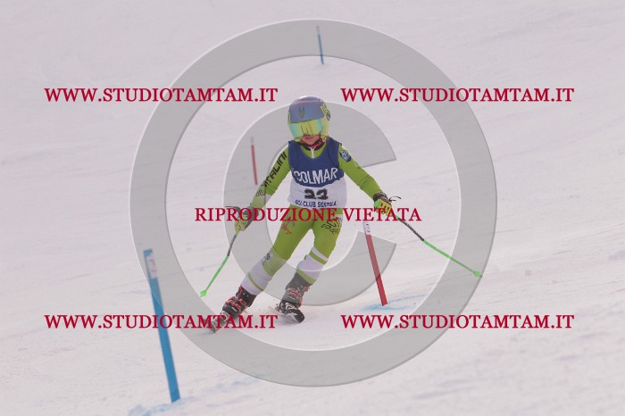 MAT_3693.JPG