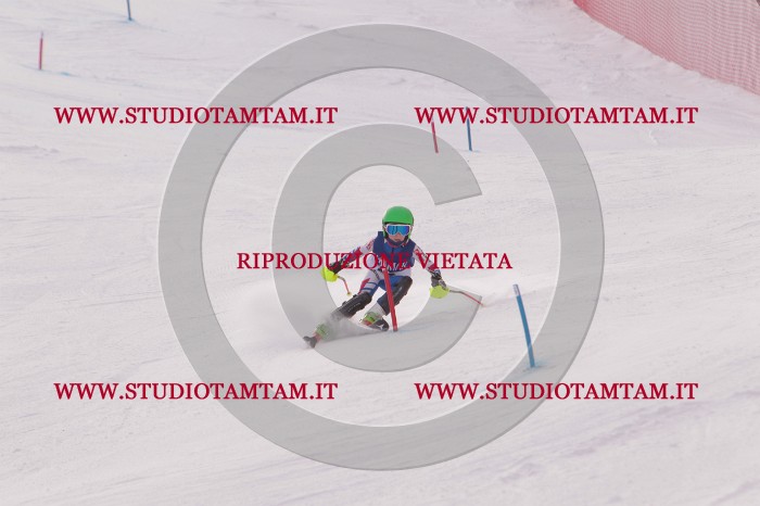 MAT_3705.JPG