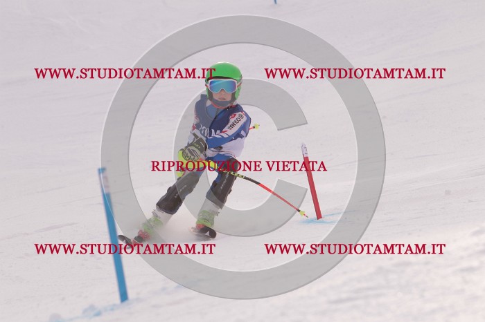 MAT_3711.JPG