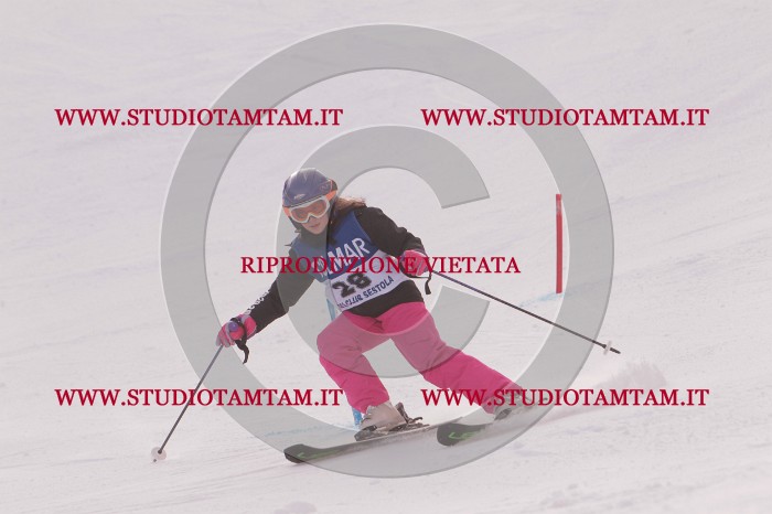 MAT_3725.JPG