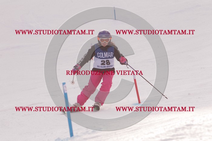 MAT_3726.JPG