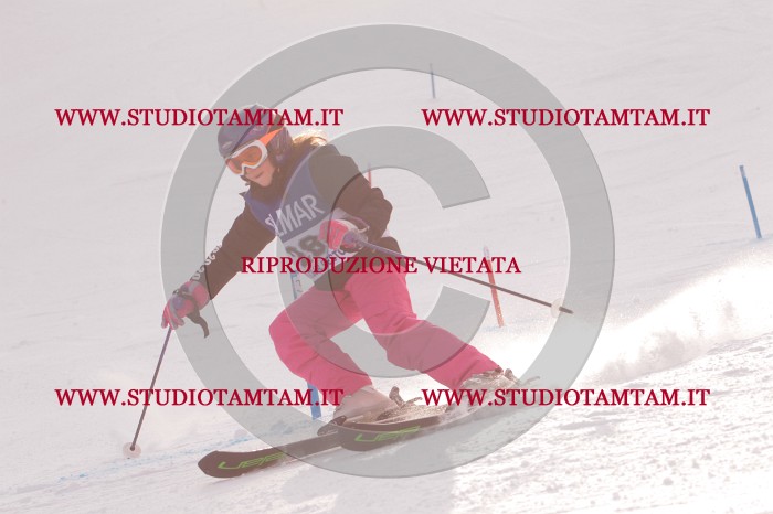 MAT_3729.JPG