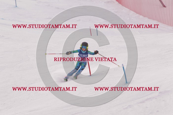 MAT_3731.JPG