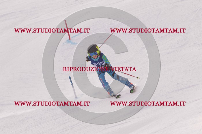 MAT_3735.JPG