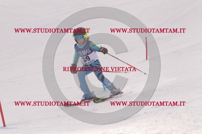 MAT_3739.JPG
