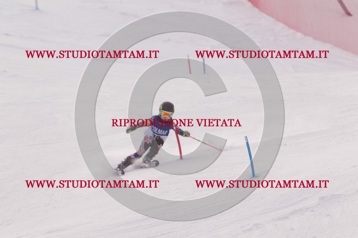 MAT_3744.JPG