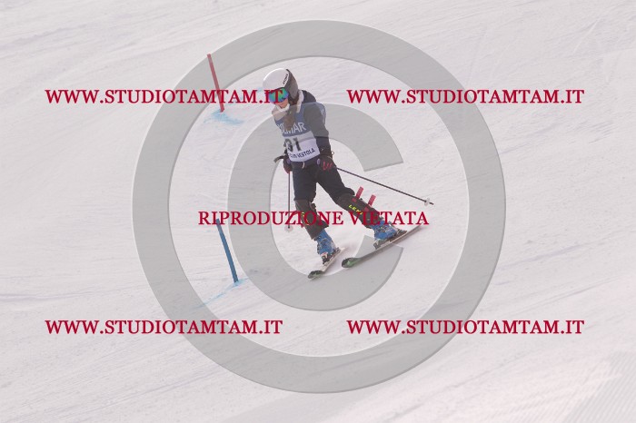 MAT_3765.JPG
