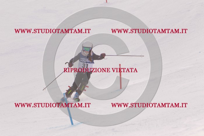 MAT_3768.JPG