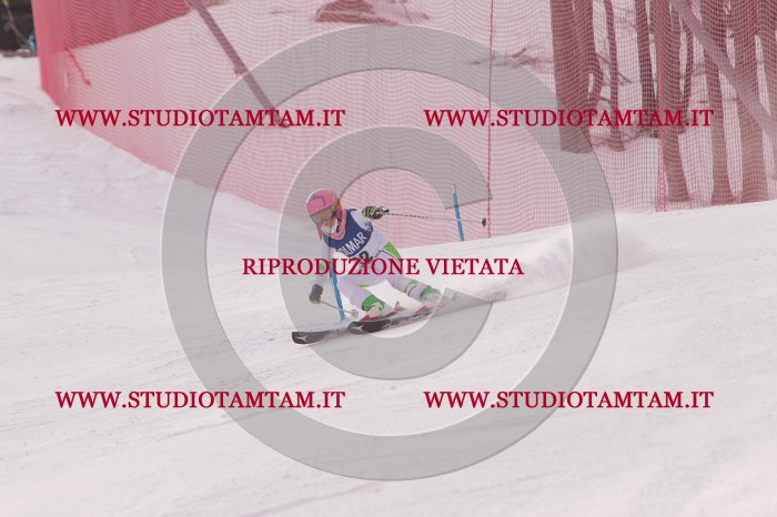 MAT_3775.JPG