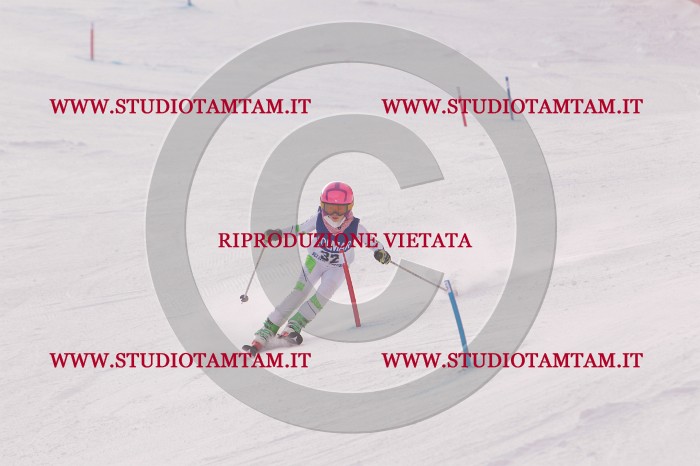 MAT_3777.JPG