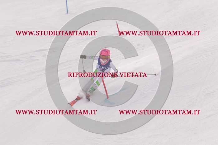 MAT_3780.JPG