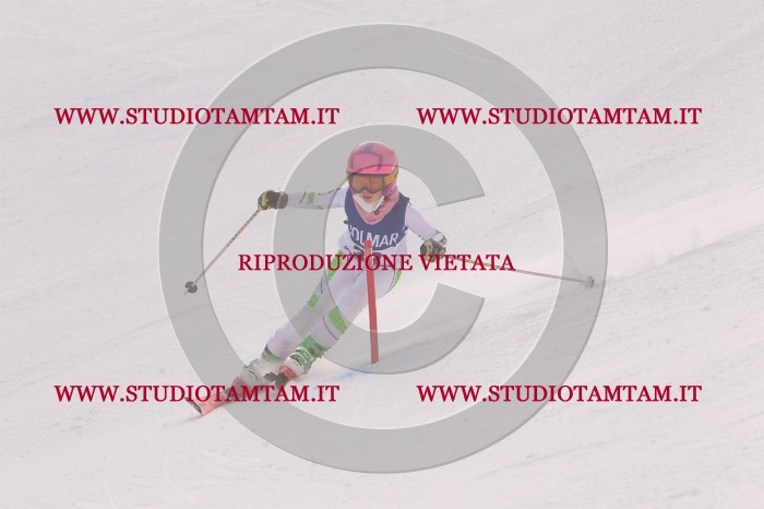 MAT_3784.JPG