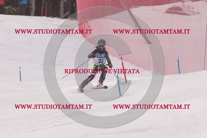 MAT_3790.JPG