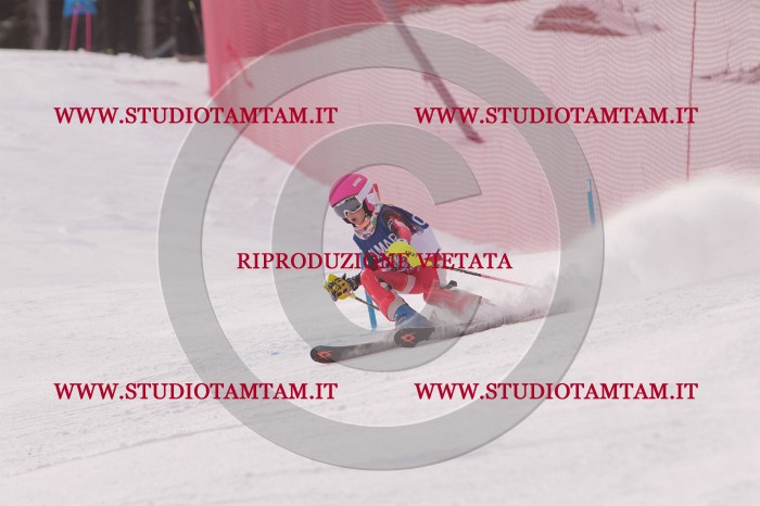 MAT_3800.JPG
