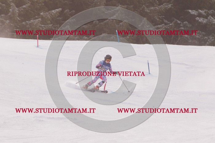 MAT_3819.JPG