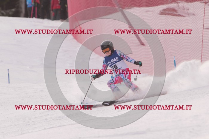 MAT_3823.JPG
