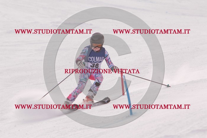 MAT_3825.JPG