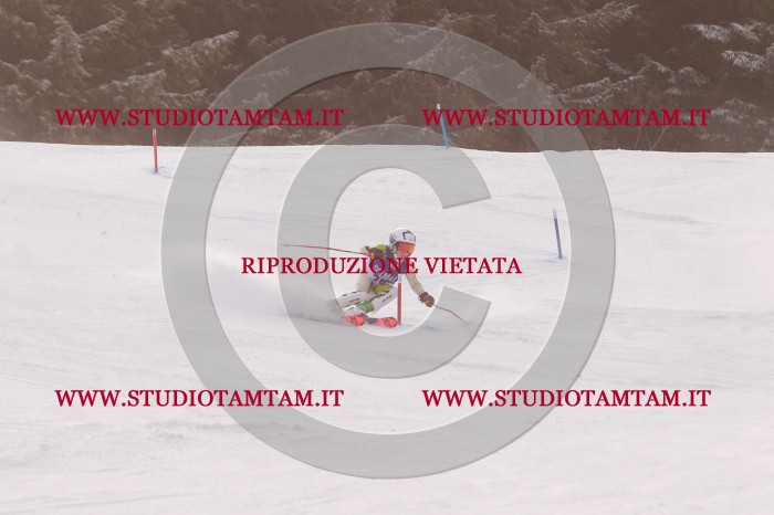 MAT_3841.JPG