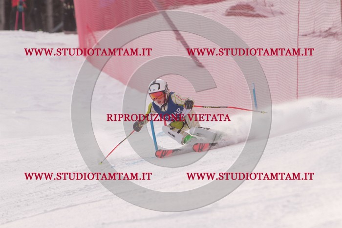 MAT_3848.JPG