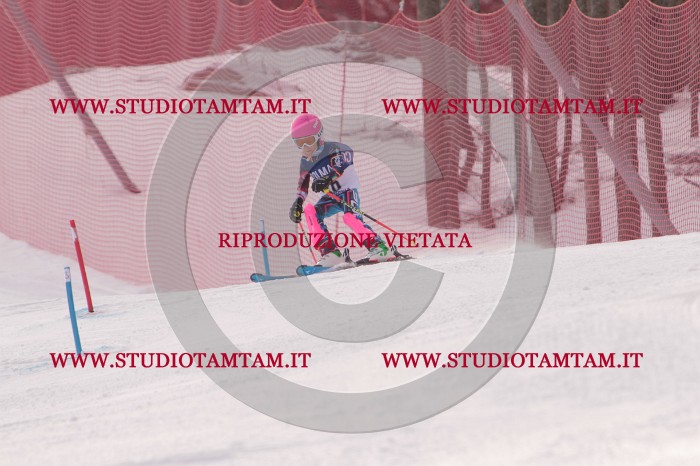 MAT_3856.JPG