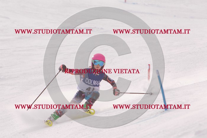 MAT_3869.JPG