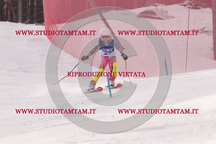 MAT_3890.JPG