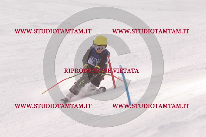 MAT_3918.JPG