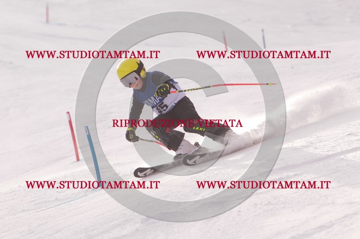 MAT_3919.JPG