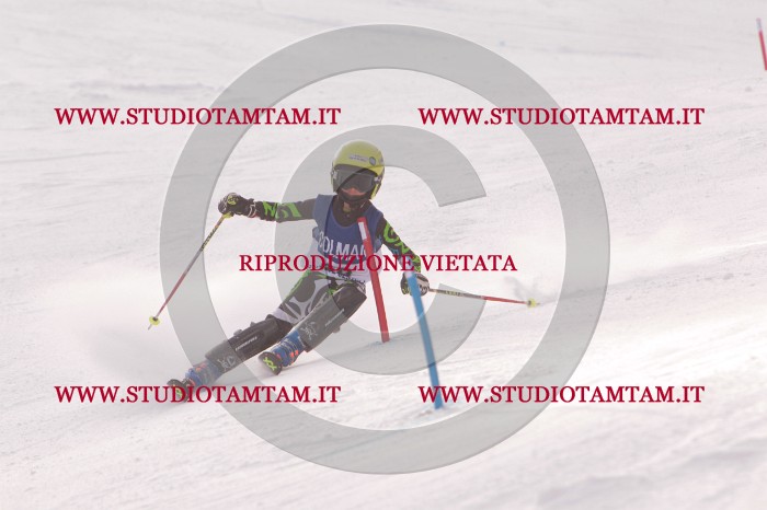 MAT_3927.JPG