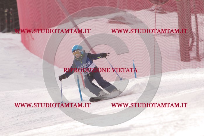 MAT_3935.JPG