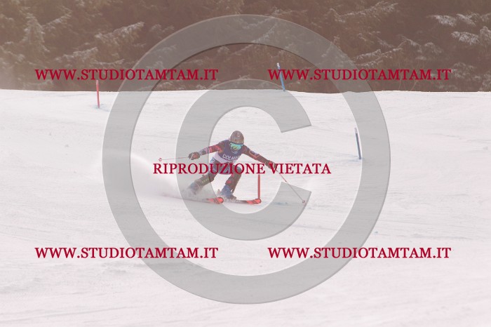 MAT_3953.JPG