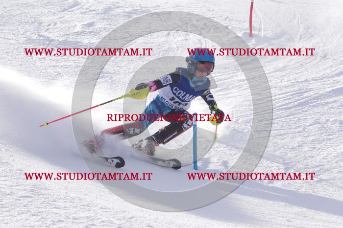 MAT_4495.JPG