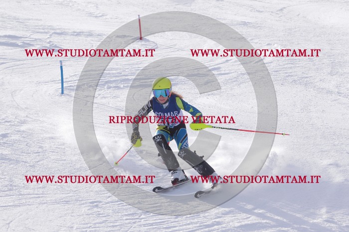 MAT_4595.JPG