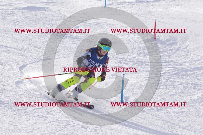 MAT_4629.JPG