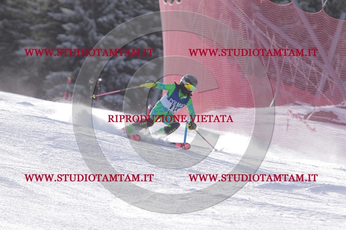 MAT_4650.JPG