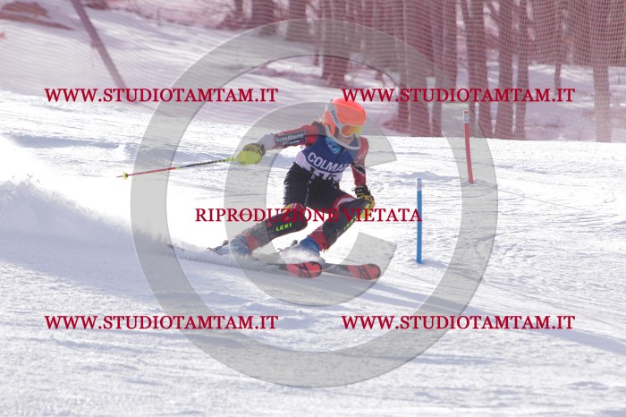 MAT_4674.JPG