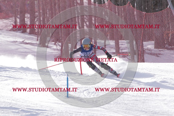 MAT_4702.JPG