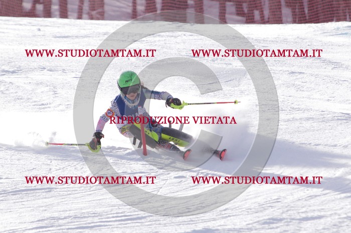 MAT_4720.JPG