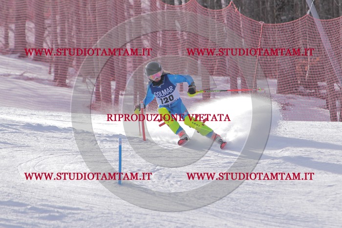 MAT_4730.JPG
