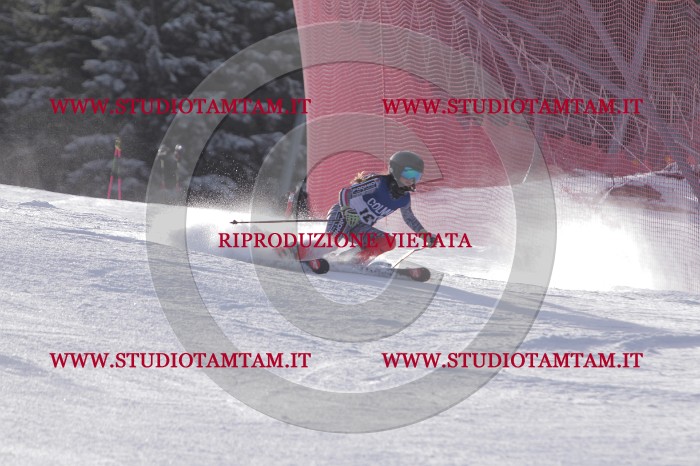 MAT_4741.JPG