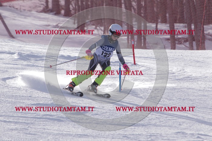 MAT_4753.JPG