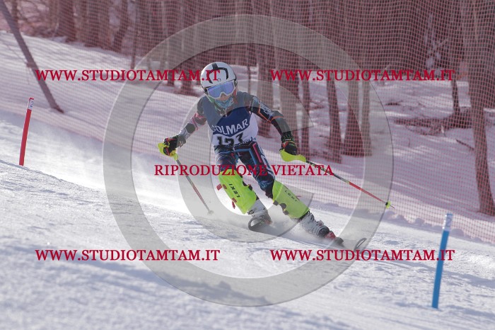 MAT_4801.JPG