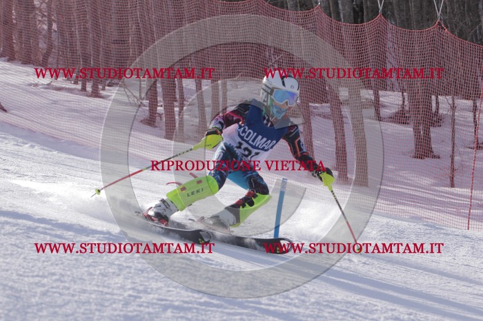 MAT_4803.JPG