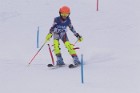 MAT_4923