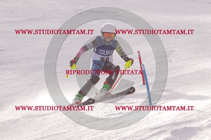 MAT_4017.JPG