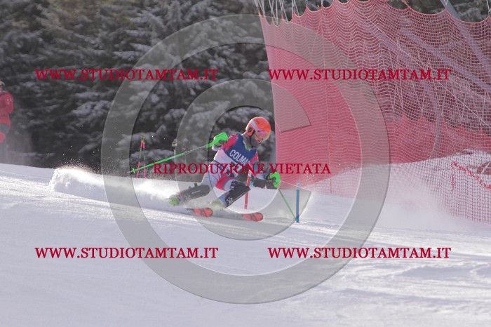 MAT_4169.JPG